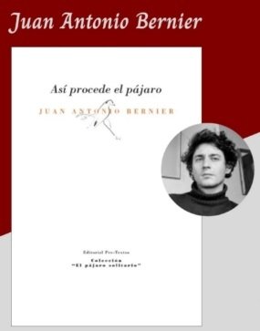 Córdoba. Juan Antonio Bernier ‘Así procede el pájaro’