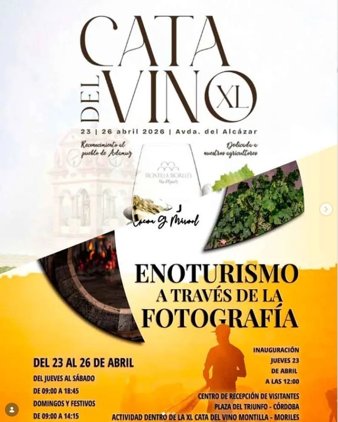 Córdoba. Cata del Vino XL