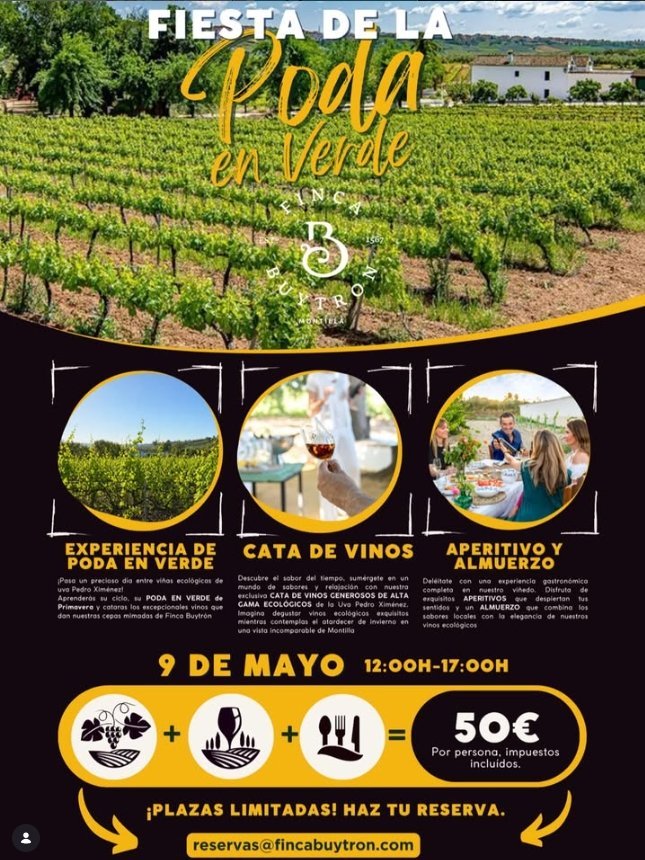 Montilla. Fiesta de la Poda en Verde