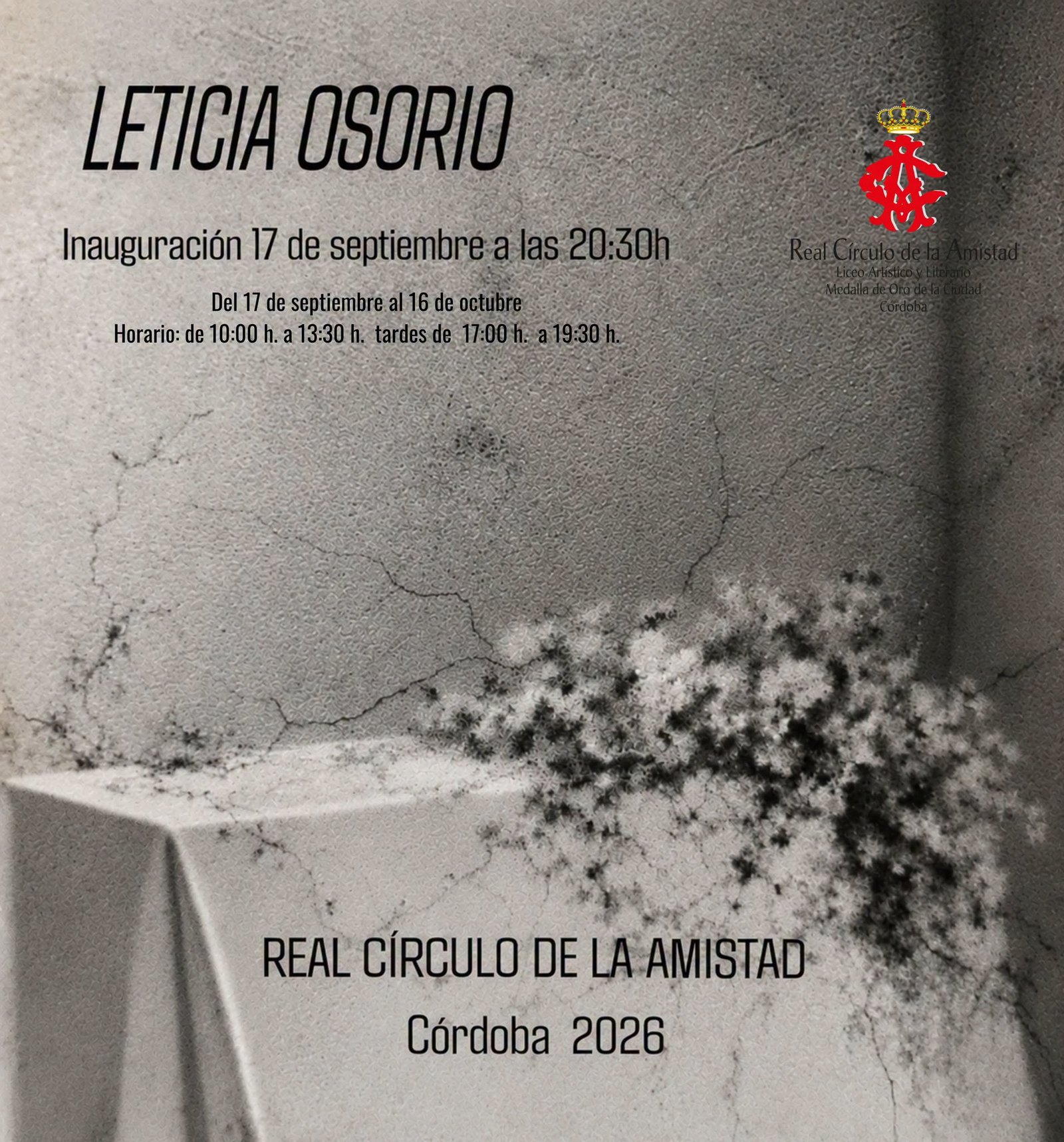 Córdoba. Exposición de Leticia Osorio